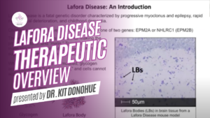 Text says 'Lafora Disease Therapeutic Overview presented by Dr. Kit Donohue'