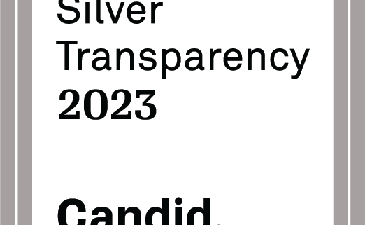 Silver Transparency 2023 Candid.