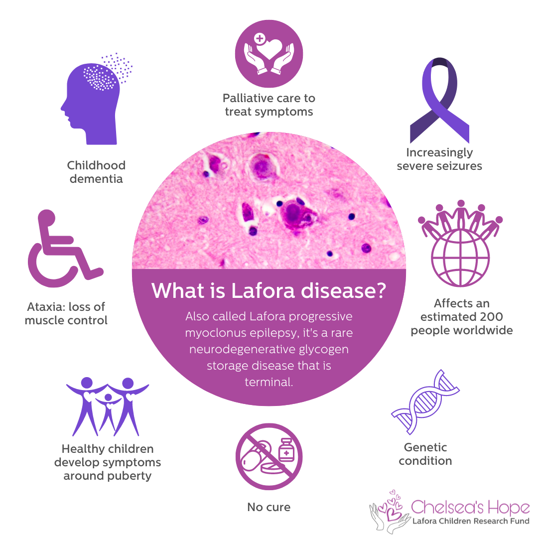 An infographic that includes half a circle of Lafora Disease in the center and half a circle beneath with text that says 'What is Lafora disease? Also called Lafora progressive myoclonus epilepy, it's a rare neurodegenerative glycogen storage disease that is terminal.' Around the circle, symbols and text explain more about the disease. The text says 'childhood dementia, palliative care to treat symptoms, increasingly severe seizures, affects an estimated 200 people worldwide, genetic condition, no cure, healthy children develop symptoms around puberty, ataxia: loss of muscle control.