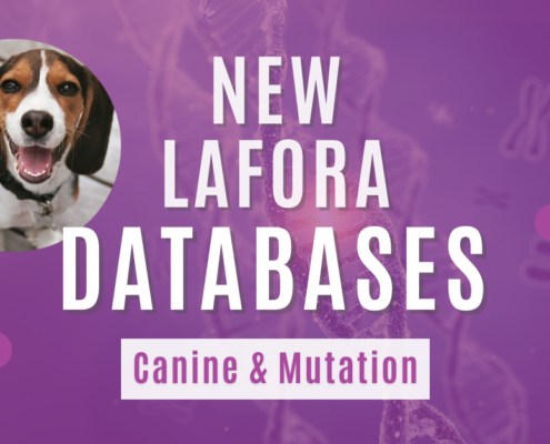 White text says 'NEW LAFORA DATABASES' above an image of genetic mutation. It has a purple overlay. Purple text over a white block says 'Canine & Mutation.' There is a photo of a beagle to the left of the text. White and purple circles decorate the edges of the graphic, with the round Chelsea's Hope Lafora Children Research Fund logo in the bottom right-hand corner.