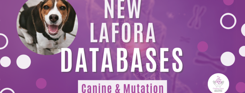 White text says 'NEW LAFORA DATABASES' above an image of genetic mutation. It has a purple overlay. Purple text over a white block says 'Canine & Mutation.' There is a photo of a beagle to the left of the text. White and purple circles decorate the edges of the graphic, with the round Chelsea's Hope Lafora Children Research Fund logo in the bottom right-hand corner.