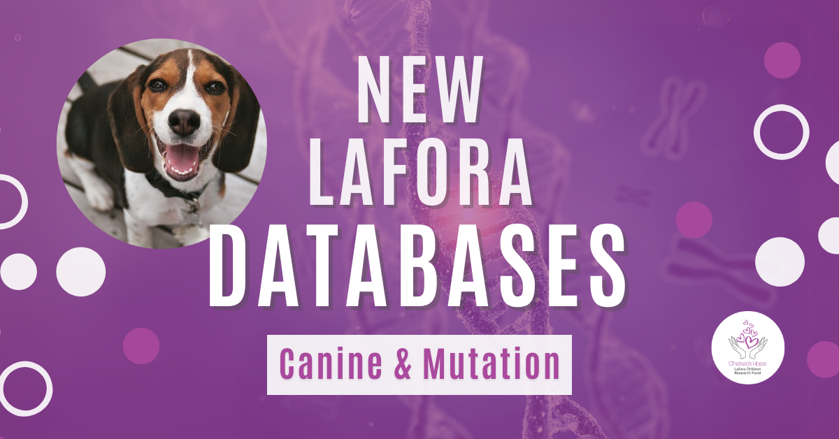 White text says 'NEW LAFORA DATABASES' above an image of genetic mutation. It has a purple overlay. Purple text over a white block says 'Canine & Mutation.' There is a photo of a beagle to the left of the text. White and purple circles decorate the edges of the graphic, with the round Chelsea's Hope Lafora Children Research Fund logo in the bottom right-hand corner.