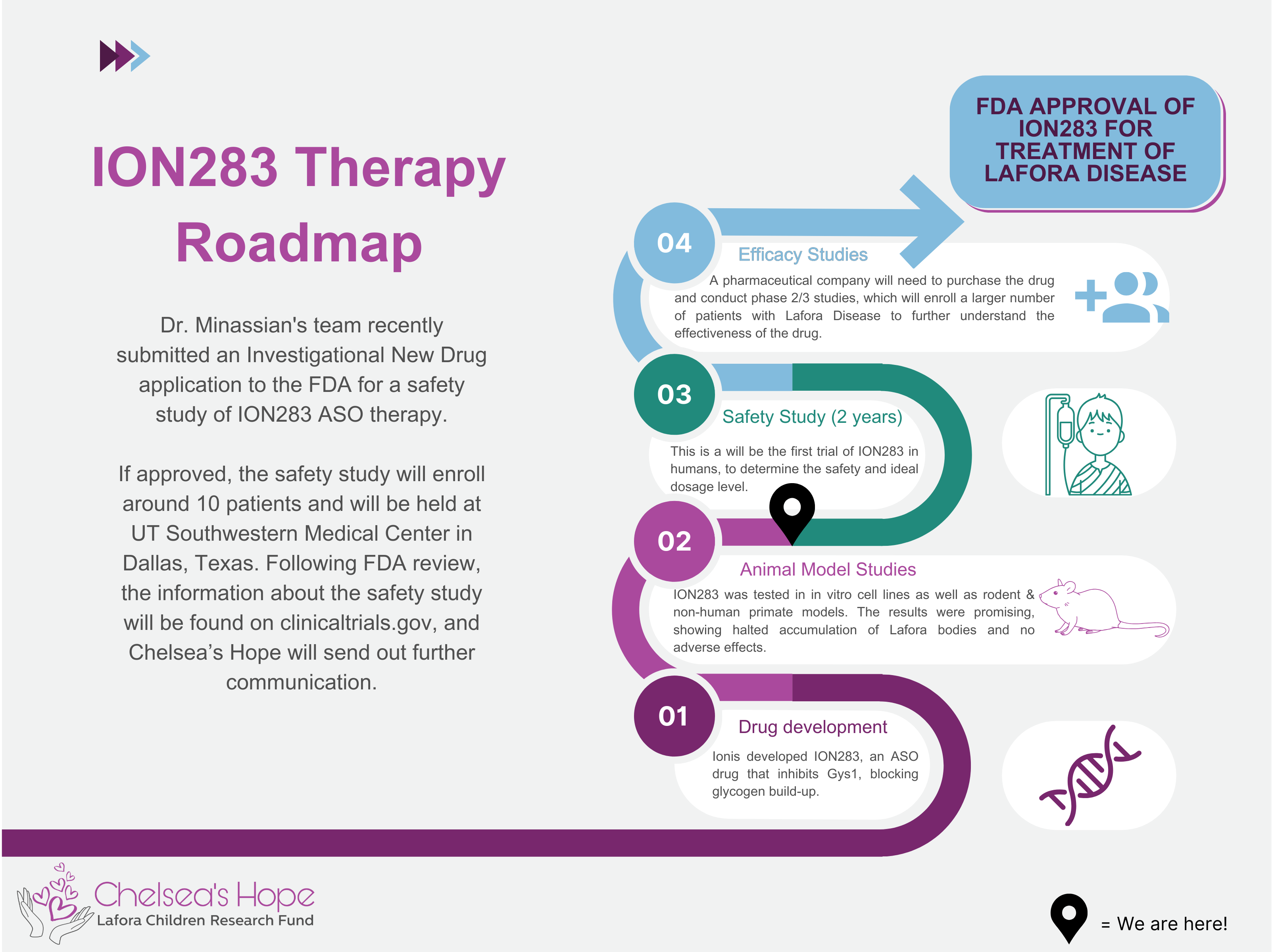 Alt text ION283 Therapy Roadmap Dr. Minassian's team recently submitted an Investigational New Drug application to the FDA for a safety study of ION283 ASO therapy. If approved, the safety study will enroll around 10 patients and will be held at UT Southwestern Medical Center in Dallas, Texas. Following FDA review, the information about the safety study will be found on clinicaltrials.gov, and Chelsea's Hope will send out further communication. Step 1: Drug development - lonis developed ION283, an ASO drug that inhibits Gys1, blocking glycogen build-up. Step 2: Animal Model Studies - ION283 was tested in in vitro cell lines as well as rodent & non-human primate models. The results were promising, showing halted accumulation of Lafora bodies and no adverse effects. We are here! Between steps 2 and 3. Step 3: Safety Study (2 years) - This is a will be the first trial of ION283 in humans, to determine the safety and ideal dosage level. Step 4: Efficacy Studies - A pharmaceutical company will need to purchase the drug and conduct phase 2/3 studies, which will enroll a larger number of patients with Lafora Disease to further understand the effectiveness of the drug. Finally, that leads us to FDA APPROVAL OF ION283 FOR TREATMENT OF LAFORA DISEASE.