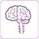 Central Nervous System (CNS)