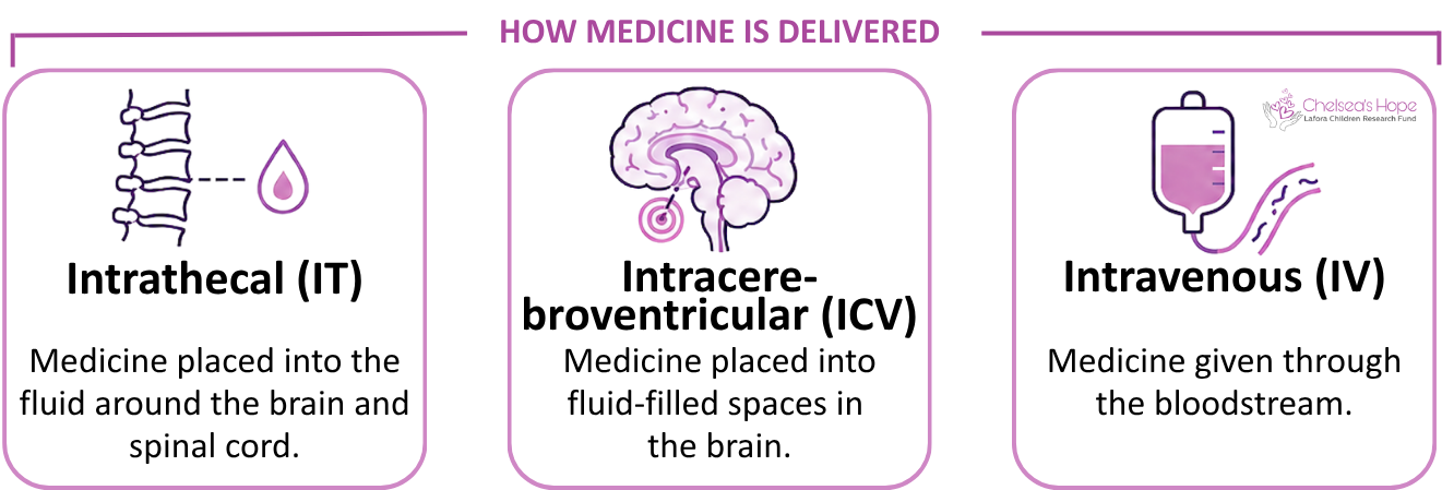Intrathecal (IT) Medicine placed into the fluid around the brain and spinal cord. HOW MEDICINE IS DELIVERED Intracere- broventricular (ICV) Medicine placed into fluid-filled spaces in the brain. Intravenous (IV) Medicine given through the bloodstream.