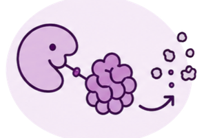 enzyme therapy