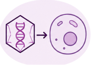 gene therapy