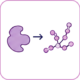 Glycogen synthase