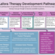 Lafora Therapy Development Pathway This pathway does not guarantee therapy approval, but instead shows the necessary steps a therapy must go through to become available to patients. Discovery & Early Development Early Preclinical Testing Advanced Preclinical Steps Human Safety Study & Dose Escalation Efficacy Study Regulatory Review Continued Monitoring Therapies are designed, synthesized, and evaluated for purity and stability. Therapies are tested in cells or mouse models to demonstrate safety and efficacy. Therapies are tested in animal models to validate the delivery method, dosing levels and dosing frequency A Phase I clinical study focuses on demonstrating safety in patients and finding an effective dosage. A Phase II/Ill study focuses on proving the therapy meaningfully slows or halts disease progression Review of data from the clinical trials by agencies such as the FDA are required before therapy approval. After approval, therapies may continue to be monitored for safety, effectiveness, and long-term outcomes. VAL-1221 Brain delivery is a major limitation, and therapy is currently not moving forward as an active Lafora disease therapy. Next-Generation Enzyme Fusion Therapies Preclinical work is focused on improving delivery to the brain using IV administration. EPM2A/EPM2B Gene Therapy Preclinical research to replace the mutated genes causing Lafora disease. Currently needing to complete toxicology (safety) studies Amylase Gene Therapy Preclinical work in progress to confirm amylase expression in cells and the ability to clear Lafora bodies (efficacy). VAL-0417 A preclinical enzyme-fusion therapy designed to help clear existing Lafora bodies. ICV delivery is being tested to confirm the drug reaches the brain before it can advance to the clinic. ION283 The current safety study has 10 patients who have received low levels the drug with no major safety issues. They are now in the dose escalation phase determine an effective dose.