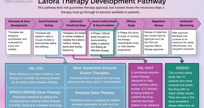 Lafora Therapy Development Pathway This pathway does not guarantee therapy approval, but instead shows the necessary steps a therapy must go through to become available to patients. Discovery & Early Development Early Preclinical Testing Advanced Preclinical Steps Human Safety Study & Dose Escalation Efficacy Study Regulatory Review Continued Monitoring Therapies are designed, synthesized, and evaluated for purity and stability. Therapies are tested in cells or mouse models to demonstrate safety and efficacy. Therapies are tested in animal models to validate the delivery method, dosing levels and dosing frequency A Phase I clinical study focuses on demonstrating safety in patients and finding an effective dosage. A Phase II/Ill study focuses on proving the therapy meaningfully slows or halts disease progression Review of data from the clinical trials by agencies such as the FDA are required before therapy approval. After approval, therapies may continue to be monitored for safety, effectiveness, and long-term outcomes. VAL-1221 Brain delivery is a major limitation, and therapy is currently not moving forward as an active Lafora disease therapy. Next-Generation Enzyme Fusion Therapies Preclinical work is focused on improving delivery to the brain using IV administration. EPM2A/EPM2B Gene Therapy Preclinical research to replace the mutated genes causing Lafora disease. Currently needing to complete toxicology (safety) studies Amylase Gene Therapy Preclinical work in progress to confirm amylase expression in cells and the ability to clear Lafora bodies (efficacy). VAL-0417 A preclinical enzyme-fusion therapy designed to help clear existing Lafora bodies. ICV delivery is being tested to confirm the drug reaches the brain before it can advance to the clinic. ION283 The current safety study has 10 patients who have received low levels the drug with no major safety issues. They are now in the dose escalation phase determine an effective dose.