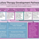 Lafora Therapy Development Pathway This pathway does not guarantee therapy approval, but instead shows the necessary steps a therapy must go through to become available to patients. Discovery & Early Development Early Preclinical Testing Advanced Preclinical Steps Human Safety Study & Dose Escalation Efficacy Study Regulatory Review Continued Monitoring Therapies are designed, synthesized, and evaluated for purity and stability. Therapies are tested in cells or mouse models to demonstrate safety and efficacy. Therapies are tested in animal models to validate the delivery method, dosing levels and dosing frequency A Phase I clinical study focuses on demonstrating safety in patients and finding an effective dosage. A Phase II/Ill study focuses on proving the therapy meaningfully slows or halts disease progression Review of data from the clinical trials by agencies such as the FDA are required before therapy approval. After approval, therapies may continue to be monitored for safety, effectiveness, and long-term outcomes. VAL-1221 Brain delivery is a major limitation, and therapy is currently not moving forward as an active Lafora disease therapy. Next-Generation Enzyme Fusion Therapies Preclinical work is focused on improving delivery to the brain using IV administration. EPM2A/EPM2B Gene Therapy Preclinical research to replace the mutated genes causing Lafora disease. Currently needing to complete toxicology (safety) studies Amylase Gene Therapy Preclinical work in progress to confirm amylase expression in cells and the ability to clear Lafora bodies (efficacy). VAL-0417 A preclinical enzyme-fusion therapy designed to help clear existing Lafora bodies. ICV delivery is being tested to confirm the drug reaches the brain before it can advance to the clinic. ION283 The current safety study has 10 patients who have received low levels the drug with no major safety issues. They are now in the dose escalation phase determine an effective dose.