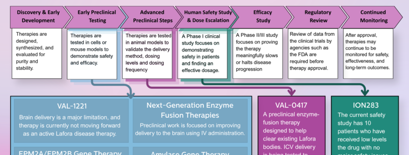 Lafora Therapy Development Pathway This pathway does not guarantee therapy approval, but instead shows the necessary steps a therapy must go through to become available to patients. Discovery & Early Development Early Preclinical Testing Advanced Preclinical Steps Human Safety Study & Dose Escalation Efficacy Study Regulatory Review Continued Monitoring Therapies are designed, synthesized, and evaluated for purity and stability. Therapies are tested in cells or mouse models to demonstrate safety and efficacy. Therapies are tested in animal models to validate the delivery method, dosing levels and dosing frequency A Phase I clinical study focuses on demonstrating safety in patients and finding an effective dosage. A Phase II/Ill study focuses on proving the therapy meaningfully slows or halts disease progression Review of data from the clinical trials by agencies such as the FDA are required before therapy approval. After approval, therapies may continue to be monitored for safety, effectiveness, and long-term outcomes. VAL-1221 Brain delivery is a major limitation, and therapy is currently not moving forward as an active Lafora disease therapy. Next-Generation Enzyme Fusion Therapies Preclinical work is focused on improving delivery to the brain using IV administration. EPM2A/EPM2B Gene Therapy Preclinical research to replace the mutated genes causing Lafora disease. Currently needing to complete toxicology (safety) studies Amylase Gene Therapy Preclinical work in progress to confirm amylase expression in cells and the ability to clear Lafora bodies (efficacy). VAL-0417 A preclinical enzyme-fusion therapy designed to help clear existing Lafora bodies. ICV delivery is being tested to confirm the drug reaches the brain before it can advance to the clinic. ION283 The current safety study has 10 patients who have received low levels the drug with no major safety issues. They are now in the dose escalation phase determine an effective dose.