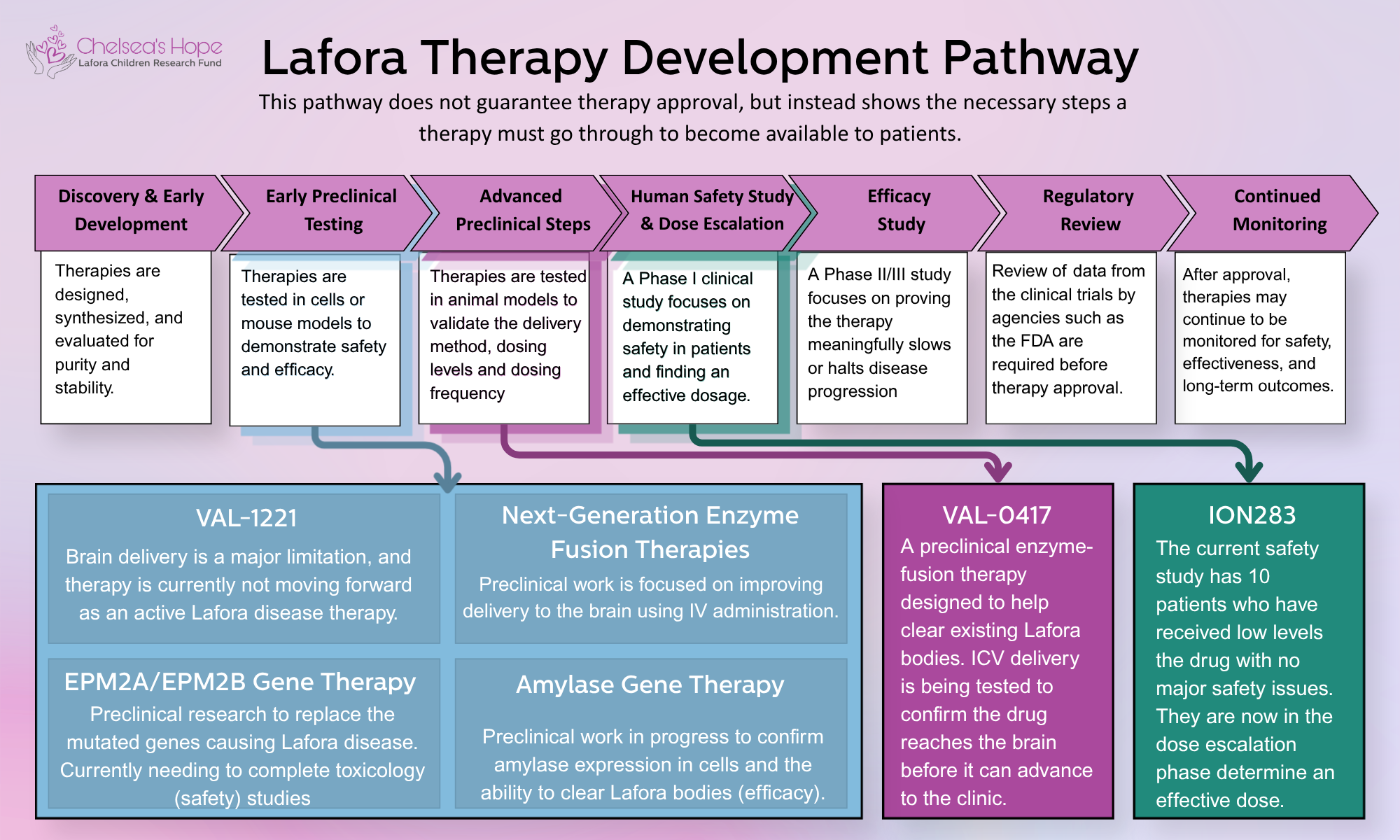 Lafora Therapy Development Pathway This pathway does not guarantee therapy approval, but instead shows the necessary steps a therapy must go through to become available to patients. Discovery & Early Development Early Preclinical Testing Advanced Preclinical Steps Human Safety Study & Dose Escalation Efficacy Study Regulatory Review Continued Monitoring Therapies are designed, synthesized, and evaluated for purity and stability. Therapies are tested in cells or mouse models to demonstrate safety and efficacy. Therapies are tested in animal models to validate the delivery method, dosing levels and dosing frequency A Phase I clinical study focuses on demonstrating safety in patients and finding an effective dosage. A Phase II/Ill study focuses on proving the therapy meaningfully slows or halts disease progression Review of data from the clinical trials by agencies such as the FDA are required before therapy approval. After approval, therapies may continue to be monitored for safety, effectiveness, and long-term outcomes. VAL-1221 Brain delivery is a major limitation, and therapy is currently not moving forward as an active Lafora disease therapy. Next-Generation Enzyme Fusion Therapies Preclinical work is focused on improving delivery to the brain using IV administration. EPM2A/EPM2B Gene Therapy Preclinical research to replace the mutated genes causing Lafora disease. Currently needing to complete toxicology (safety) studies Amylase Gene Therapy Preclinical work in progress to confirm amylase expression in cells and the ability to clear Lafora bodies (efficacy). VAL-0417 A preclinical enzyme-fusion therapy designed to help clear existing Lafora bodies. ICV delivery is being tested to confirm the drug reaches the brain before it can advance to the clinic. ION283 The current safety study has 10 patients who have received low levels the drug with no major safety issues. They are now in the dose escalation phase determine an effective dose.