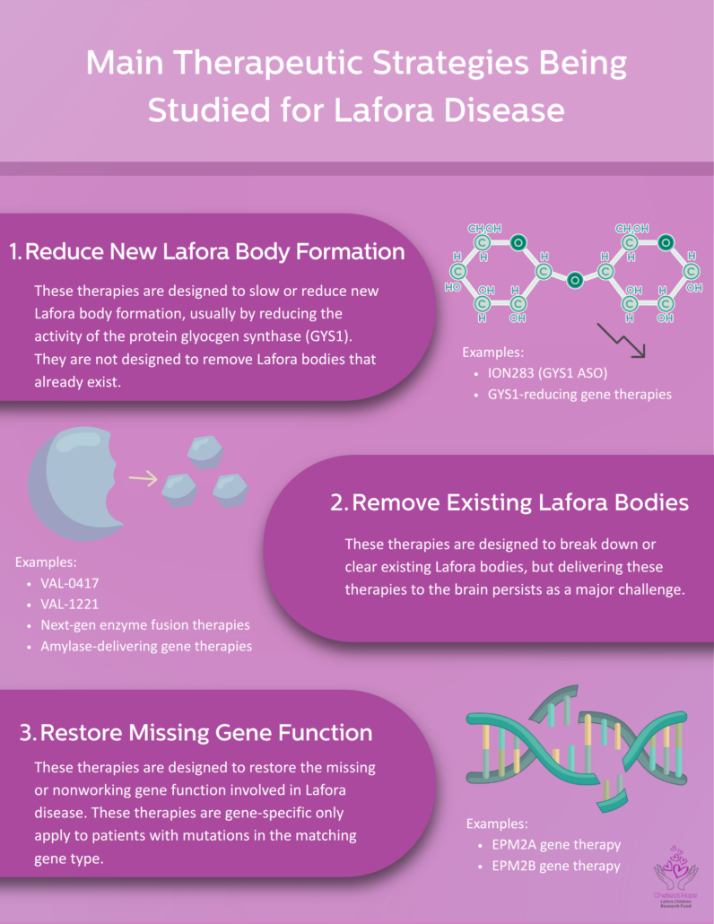 Main Therapeutic Strategies Being Studied for Lafora Disease 1. Reduce New Lafora Body Formation These therapies are designed to slow or reduce new Lafora body formation, usually by reducing the activity of the protein glyocgen synthase (GYS1). They are not designed to remove Lafora bodies that already exist. H HO CHOH O H OH H H OH H CHOH O H OH H H C OH Examples: • ION283 (GYS1 ASO) • GYS1-reducing gene therapies H OH 2. Remove Existing Lafora Bodies These therapies are designed to break down or clear existing Lafora bodies, but delivering these therapies to the brain persists as a major challenge. Examples: • VAL-0417 • VAL-1221 • Next-gen enzyme fusion therapies • Amylase-delivering gene therapies 3. Restore Missing Gene Function These therapies are designed to restore the missing or nonworking gene function involved in Lafora disease. These therapies are gene-specific only apply to patients with mutations in the matching gene type. Examples: • EPMA gene therapy • EPM2B gene therapy Chelsea's Hope Lafora Children Research Fund